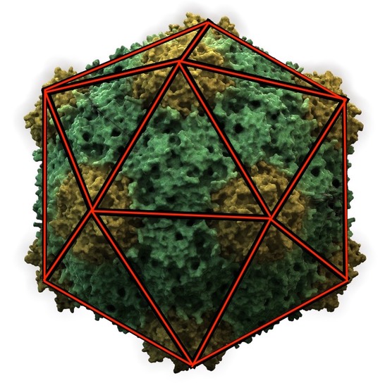 CowpeaMosaicVirusgeometry