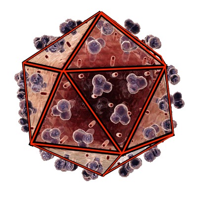 yellowfevervirusgeometry