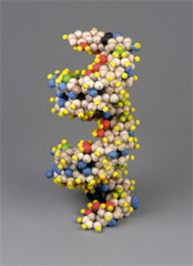 Figure 7b